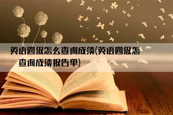 英语四级怎么查询成绩(英语四级怎么查询成绩报告单)