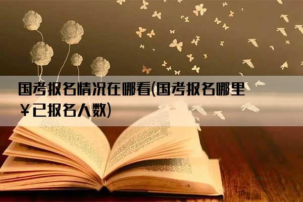 国考报名情况在哪看(国考报名哪里查已报名人数)